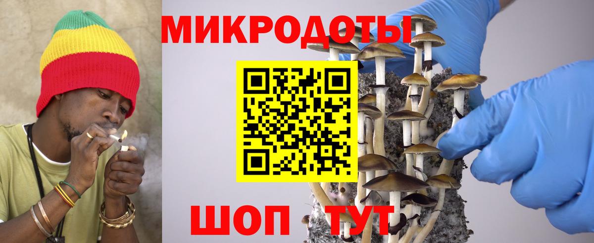 Камень-на-Оби  Псилоцибиновые грибы Magic Shrooms  Вход с VPN 