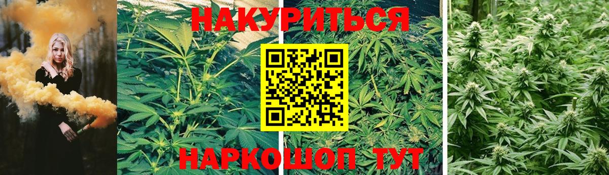 Каннабис индика Камень-на-Оби